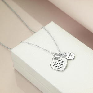 Collier en argent sterling 925 gravé « Les enseignants plantent des graines qui grandissent à jamais » avec un petit pendentif pomme - Product Image 3
