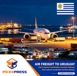 Logistica DDP Cina-Uruguay per E-commerce, <span class=keywords><strong>Consegna</strong></span> Porta a Porta, Sdoganamento, <span class=keywords><strong>Pagamento</strong></span> Tasse, Servizio Completo per Spedizioni Transfrontaliere - Product Image 2