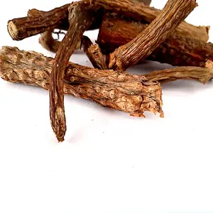 Indian Origin Best Quality Herb Giloy Root - Tinospora Cordifolia - Gaduchi Root For sale from india origin