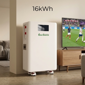 Enersouce Home Lithium Battery 51.2V 314Ah 16kwh Solar <b>Energy</b> <b>Storage</b> <b>System</b> Battery Customization of LOGO 10000 Cycle - Product Image 1