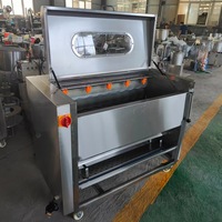Petit éplucheur à rouleaux pour pommes de terre, carottes, gingembre, noix, manioc – Équipement de lavage et de traitement