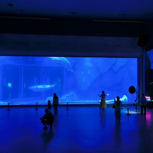 Éclairage RGB Dimmable en Plastique Acrylique Écologique pour Piscine, Transformant les Expositions Marines Nocturnes, Garantie 10 Ans, 93% de Luminosité - Product Image 3