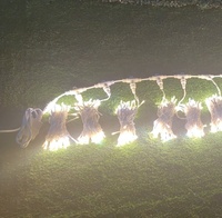 Rideau lumineux LED 110v, guirlande lumineuse féerique pour fêtes et fêtes de noël, fournitures d'éclairage de fond blanc chaud, décoration