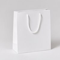 Sacs cadeaux personnalisés en carton ondulé robuste pour l'emballage de bouteilles et d'objets lourds