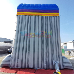 Dual lane toboggan aquatique gonflable kids outdoor bounce house inflatable tropical water <b>slide</b> with <b>pool</b> - Product Image 5