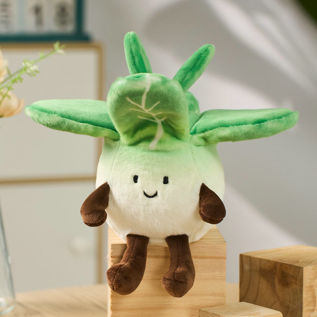 Boîte de présentation de 12 pièces, styles de chou illimités
