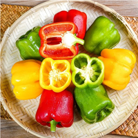 Proharvest OEM Brands Légumes surgelés IQF, Lanières de poivron jaune, Tranches de capsicum jaune surgelées, avec BRC