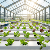 Système hydroponique NFT à recirculation plate en PVC de qualité alimentaire Seedafarm, pompe à eau automatique, culture hors-sol de légumes-feuilles 1 6