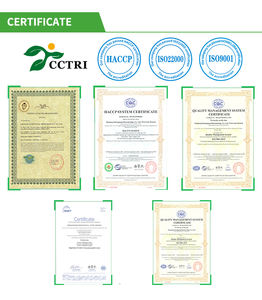 El polvo de extracto de té negro instantáneo de teaflavina orgánica 40% apoya la salud inmunológica y la protección celular - Product Image 4