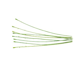 Tiges de roses artificielles, feuilles, tiges de fleurs en plastique, accessoires pour bouquets floraux DIY, 825-2, emballées individuellement - Product Image 5
