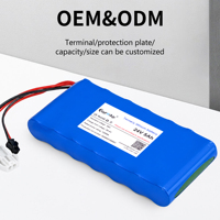 Batterie LiFePO4 OEM 24V 5Ah 1000 cycles avec BMS CE UN38.3 pour équipement audio numérique professionnel Hi-Fi haut de gamme