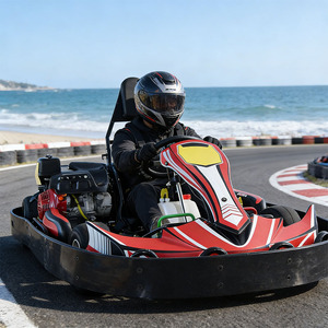 Kart à essence haute vitesse 270cc, kart à essence pour adultes, kart pour <span class=keywords><strong>location</strong></span> commerciale sur circuit extérieur - Product Image 6