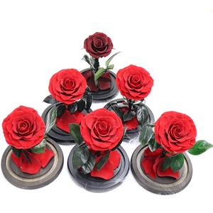 Ángeles rosas preservadas en cúpula de cristal regalo de San Valentín Flor de diente de león preservada - Product Image 1
