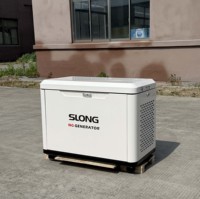Générateur hybride solaire et gaz naturel silencieux SLONG BRAND 8KW, étanche, avec ATS, prêt pour l'extérieur, 60HZ 110/220V, synchronisation au réseau
