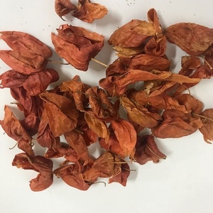 L019 Tè alle Erbe di Alta Qualità della Fabbrica Jin <span class=keywords><strong>Deng</strong></span> Long, Pianta Lanterna Cinese Naturale - Product Image 4