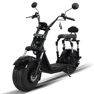 Hot Selling EEC Electric 2 Passengers Electric Scooter 2000w 60v Electric Scooter Citycoco Adult Motorcycles