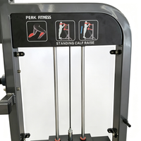 Machine professionnelle de soulevé de mollets assis à charge sélective, robuste, à charges par broches, pour l'entraînement des jambes en salle de sport