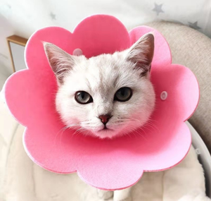 Marca nueva mascota Elizabeth Anti-Lick Collar - Product Image 6