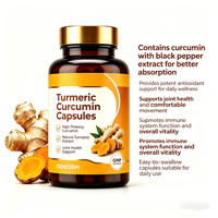 Extrait de Curcumine, Curcuma, Poivre Noir et Gingembre Marque Blanche pour le Soutien Quotidien de la Santé Articulaire et Immunitaire