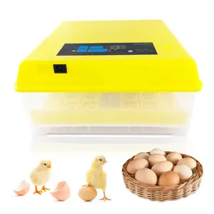 Chicken Egg Incubator With Fully Automatic Egg Trunning 220v 110v 12v Available