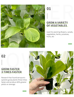 Système hydroponique/aéroponique agricole de haute qualité à 6 niveaux, tour verticale NFT pour la plantation de légumes, système de tour hydroponique