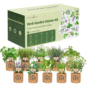 Kit de jardinage d'herbes aromatiques d'intérieur amusant de 10 pièces - Écologique, facile à cultiver dans une jardinière de fenêtre ou de cuisine, coriandre, basilic, sauge, origan, persil - Product Image 1