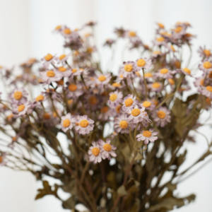 8 kleine Gänseblümchen Schaum blumen dekorationen Grenz überschreitende Außenhandels simulation für Hochzeit Weihnachten Valentinstag Neujahr - Product Image 5