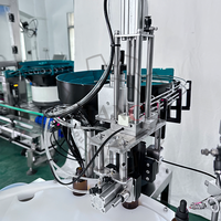 Machine de remplissage automatique 10ml 30ml Flacon liquide en verre Flacon compte-gouttes Piston Remplissage Capsulage Étiquetage Machine d'impression