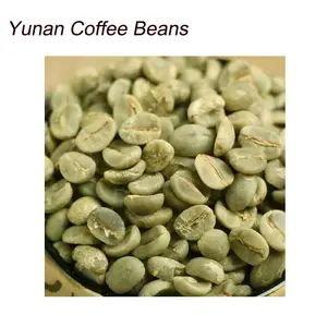 Yunnan impianto di caffè base fornitura Yunnan verde chicchi di caffè arabica / robusta chicchi di caffè in arabica lavato chicchi di caffè