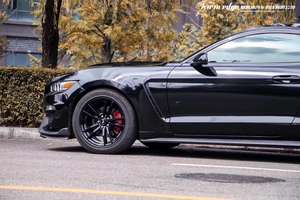 Kit carrosserie pare-chocs voiture pour <span class=keywords><strong>Ford</strong></span> <span class=keywords><strong>mustang</strong></span> <span class=keywords><strong>gt</strong></span> 350 kit carrosserie pare-chocs avant - Product Image 2