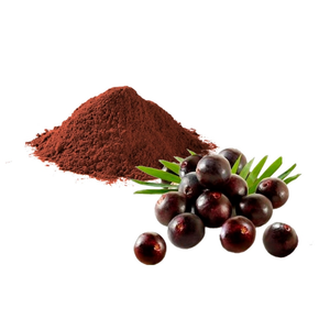 Bubuk Kering Beku <span class=keywords><strong>Acai</strong></span> Alami dengan Kaya 5% Vitamin C Brazil <span class=keywords><strong>Acai</strong></span> <span class=keywords><strong>Berry</strong></span> Powder <span class=keywords><strong>Acai</strong></span> <span class=keywords><strong>Berry</strong></span> <span class=keywords><strong>Juice</strong></span> Concentrate Powder - Product Image 2