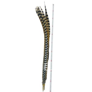 Plumes et queues de faisan Reeves brutes de 28-30 pouces (70-80 cm) pour décoration de carnaval, fêtes de Noël, festivals et mariages - Product Image 5