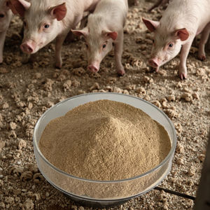 Sığır sütü ekstresi proteini ve demir destek bağışıklığı laktoferin tozu fiyatı artan üretim için düşük - Product Image 6