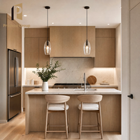 Meubles de cuisine modernes en mélaminé pour toute la maison, sur mesure, pour le développement de maisons individuelles