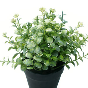 Plante artificielle <span class=keywords><strong>en</strong></span> <span class=keywords><strong>pot</strong></span> avec feuilles de faux <span class=keywords><strong>eucalyptus</strong></span> et terreau synthétique, vente <span class=keywords><strong>en</strong></span> gros, verdure décorative <span class=keywords><strong>pour</strong></span> la maison - Product Image 2