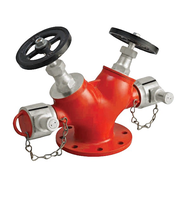 Vanne d'incendie à double sortie en fonte DN65, entrée 100 mm, pour station d'incendie - Direct Fabricant