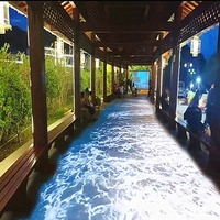 Projecteur en gros pour éclairage extérieur/intérieur, technologie de projection interactive holographique pour œuvres d'art numériques et projection au sol