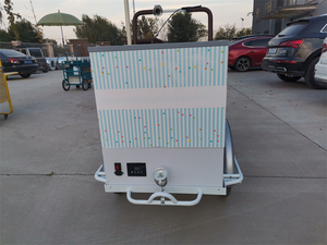 CE Cert รถเข็น100L ไอศกรีมเคลื่อนที่กลางแจ้งพร้อมตู้แช่แข็งรถจักรยานบรรทุกสินค้าไฟฟ้ารถเข็นอาหารสามล้อแบบตู้แช่แข็ง - Product Image 4