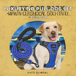 Conjunto de Correa y Arnés de Lujo para Perro, de Poliéster Sólido, con Logotipo de Marca Personalizado, Arnés Tipo Chaleco Antitirones para Perros Medianos/Grandes - Product Image 2