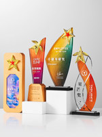 Trophée en cristal personnalisé Noble Top Performer Award avec étoile à cinq branches en métal pour la reconnaissance des meilleurs vendeurs
