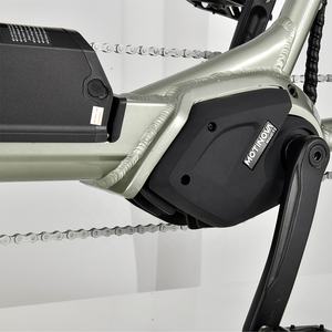 Usine de haute qualité populaire nouveau Style loisirs Tandem deux sièges à vendre grosses roues vélo de tourisme vélo tandem électrique - Product Image 6