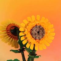 Ensembles de blocs de construction en forme de fleurs, vente chaude, jouet pour enfant, nouveauté, blocs de construction en forme de fleurs DIY pour enfants, jouet créatif, cadeau promotionnel