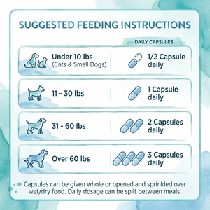 Cápsulas OEM <span class=keywords><strong>para</strong></span> el Alivio <span class=keywords><strong>de</strong></span> Alergias en Mascotas, <span class=keywords><strong>para</strong></span> <span class=keywords><strong>Perros</strong></span> y Gatos, Salud <span class=keywords><strong>de</strong></span> la Piel, Suplemento <span class=keywords><strong>para</strong></span> el Alivio del Picor, Fórmula Veterinaria <span class=keywords><strong>de</strong></span> Marca Privada - Product Image 5