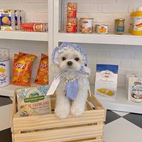 Spot INS Korea Miu Wind Princesse Jupe à bretelles à carreaux bleus pour chien et chat, taille moyenne, avec chapeau pour animal de compagnie en coton, lavable à la main et en machine