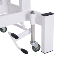 Table de massage électrique à 2 sections, lit de traitement avec dossier réglable, revêtement en PVC, structure métallique pour spa, clinique, hôpital