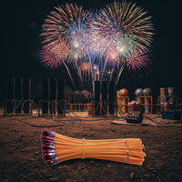 Allumeur électrique pour feux d'artifice TOP FTP-T 30cm, télécommande, fil de cuivre, homologué CE, haute qualité, sûr et fiable, vente en gros