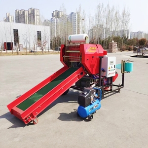 Presse à balles multifonctionnelle automatique DingYe pour ensilage d'herbe, arachides, tiges <span class=keywords><strong>de</strong></span> maïs, foin, avec fonction <span class=keywords><strong>de</strong></span> compression et d'emballage - Product Image 5