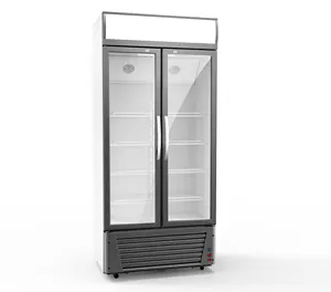LC-800 ตู้โชว์ตู้เย็นประตูกระจกสองบานซุปเปอร์มาร์เก็ตแนวตั้งเชิงพาณิชย์