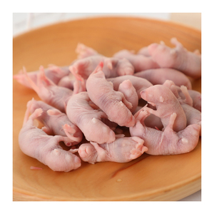Souris séchées par congélation pour animaux carnivores, reptiles, amphibiens, oiseaux, petits mammifères, zoo - Product Image 1