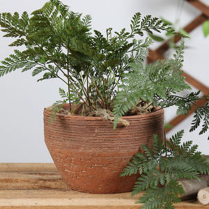 Di <span class=keywords><strong>vendita</strong></span> calda su ordinazione del giardino succulente pianta decorativa interna ed esterna di terracotta fioriera vasi di fiori - Product Image 2